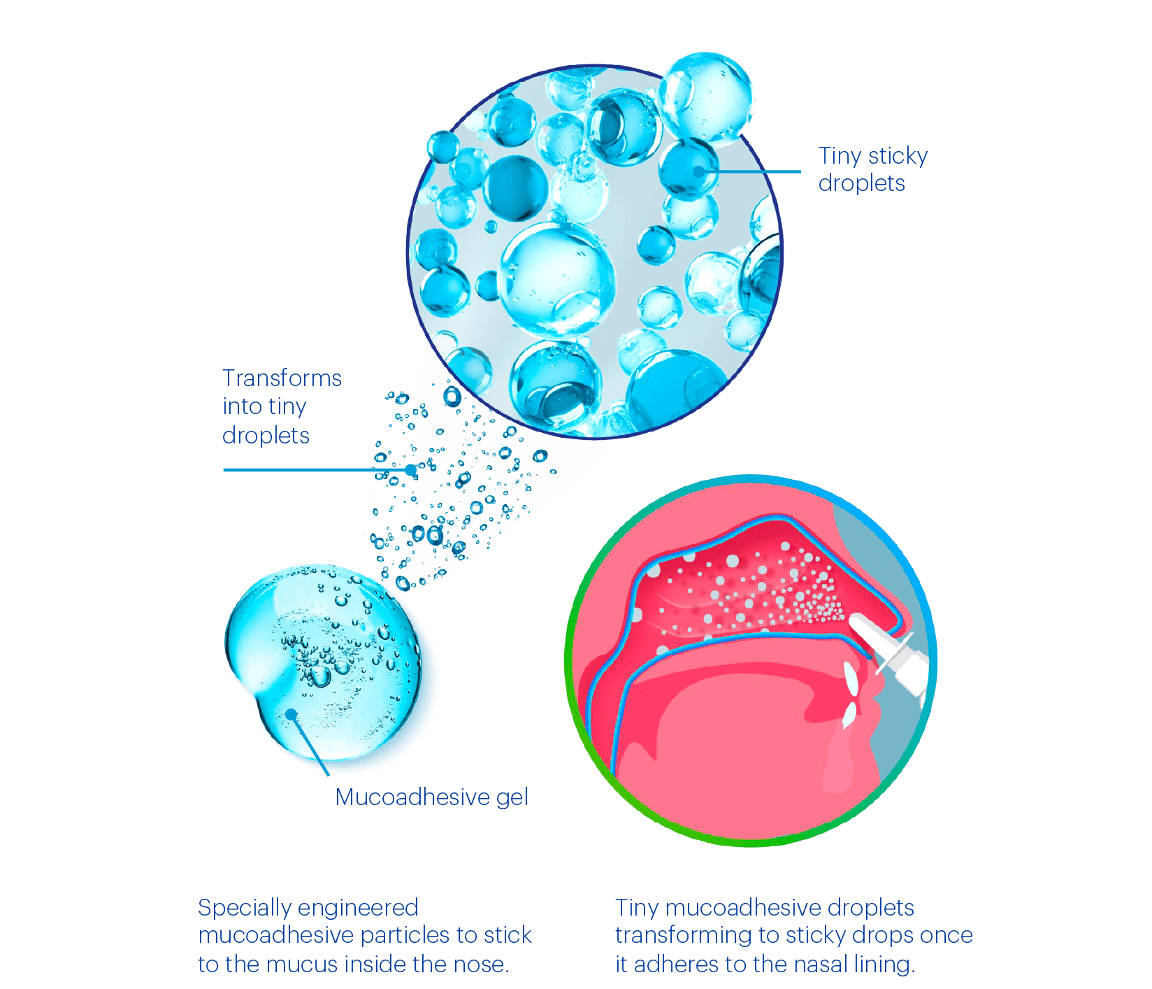 Clarispray no-drip mechanism diagram (mucosal gel → tiny sticky droplets → adherence)