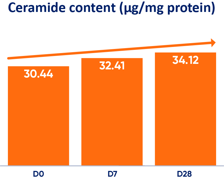 restoring-ceramide-content