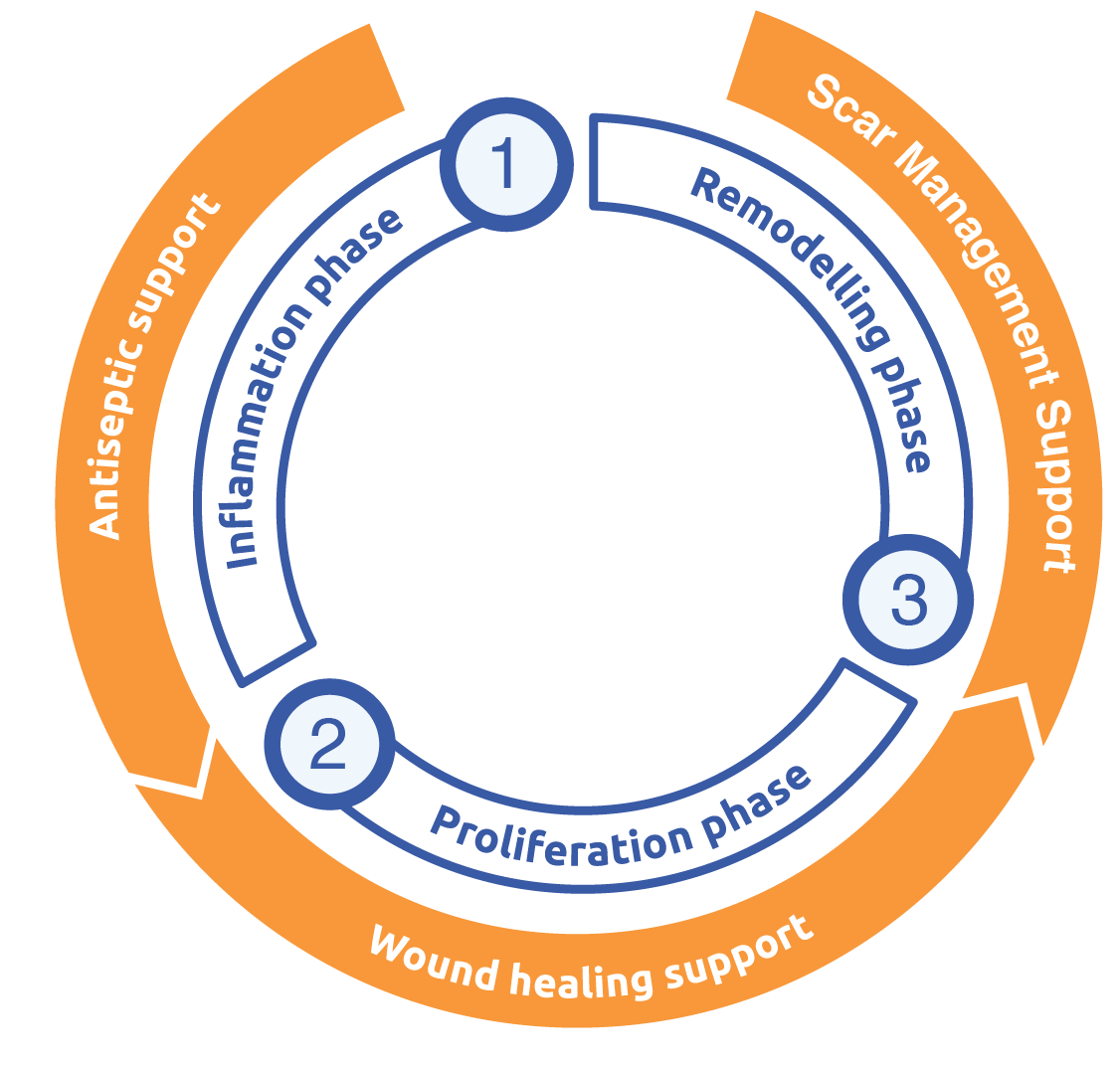 Wound healing support cycle