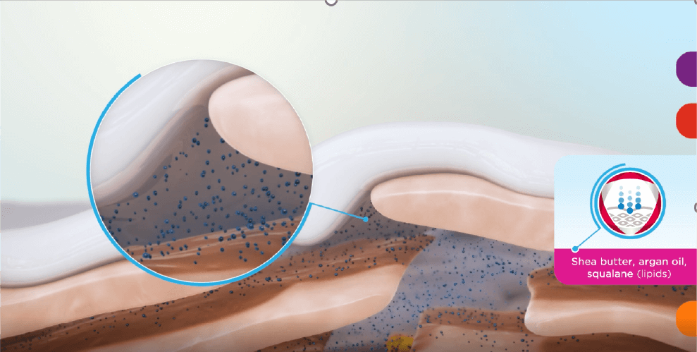 Applying Niacinamide