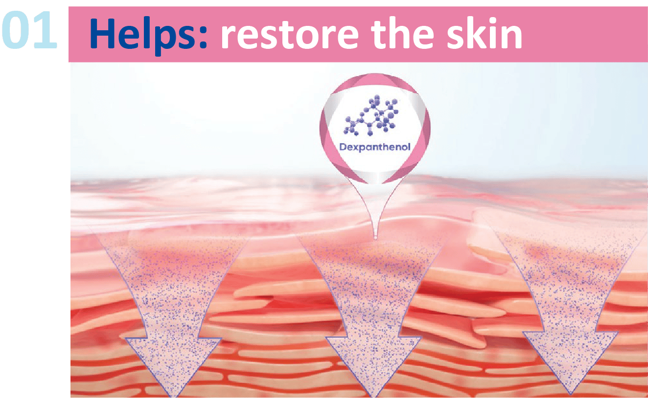 Skin regeneration illustration