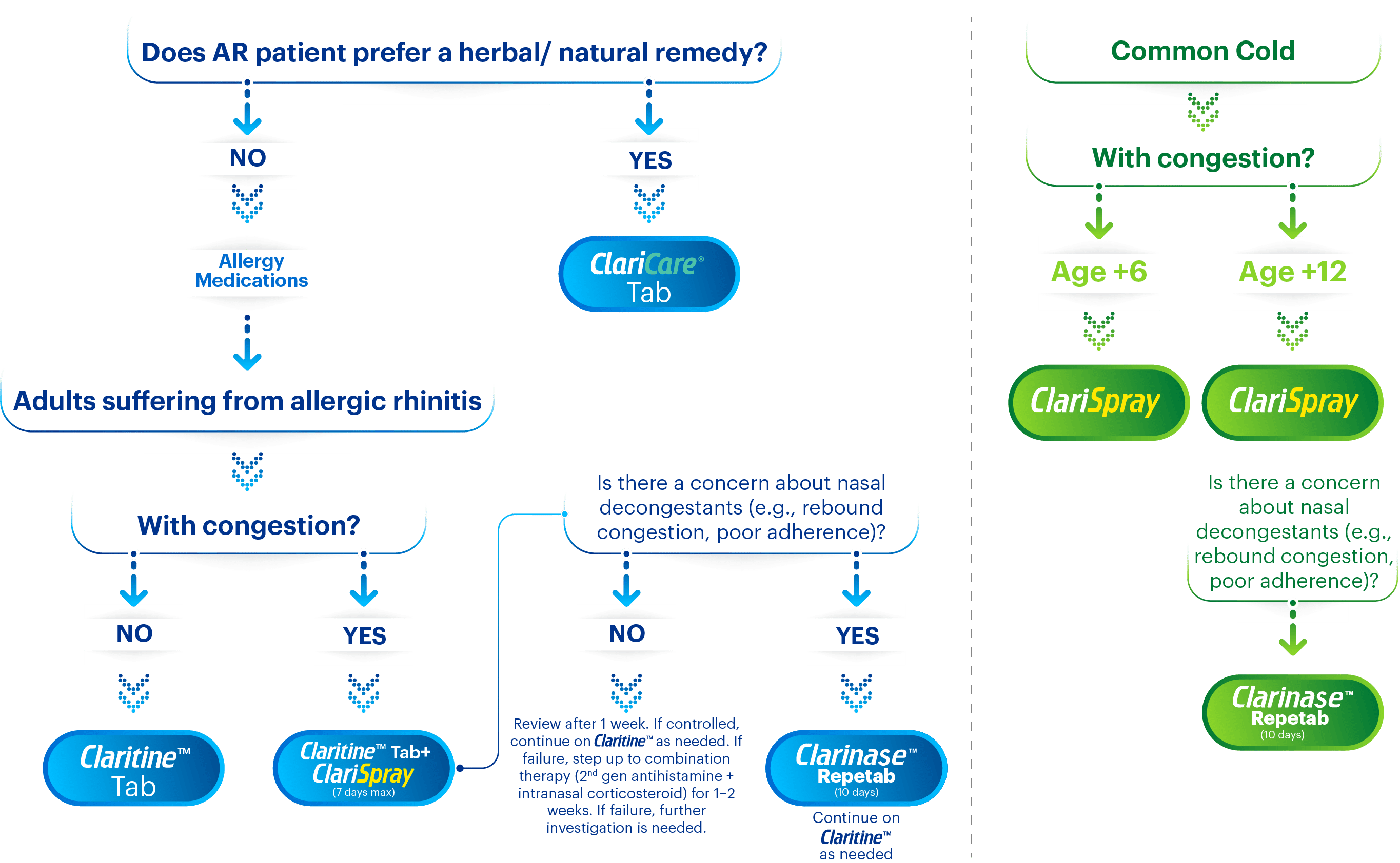 Flowchart of Bayer allergy portfolio treatment options