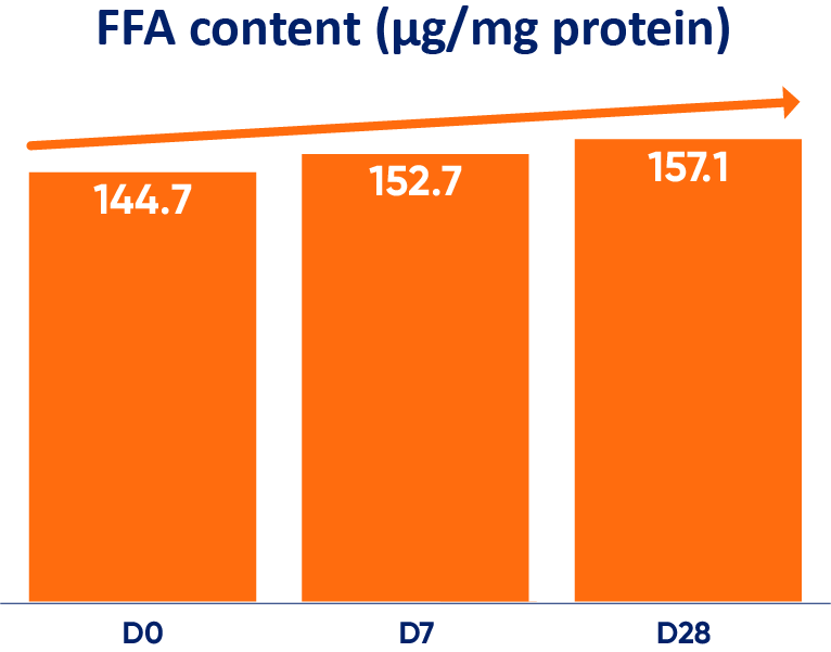 restoring-ffa-content