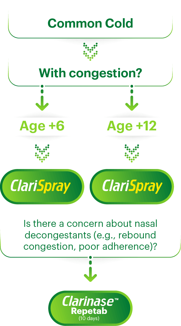 Flowchart of Bayer allergy portfolio treatment options