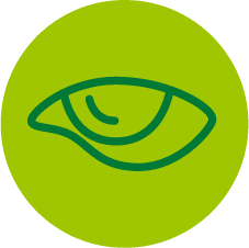 Eye icon
