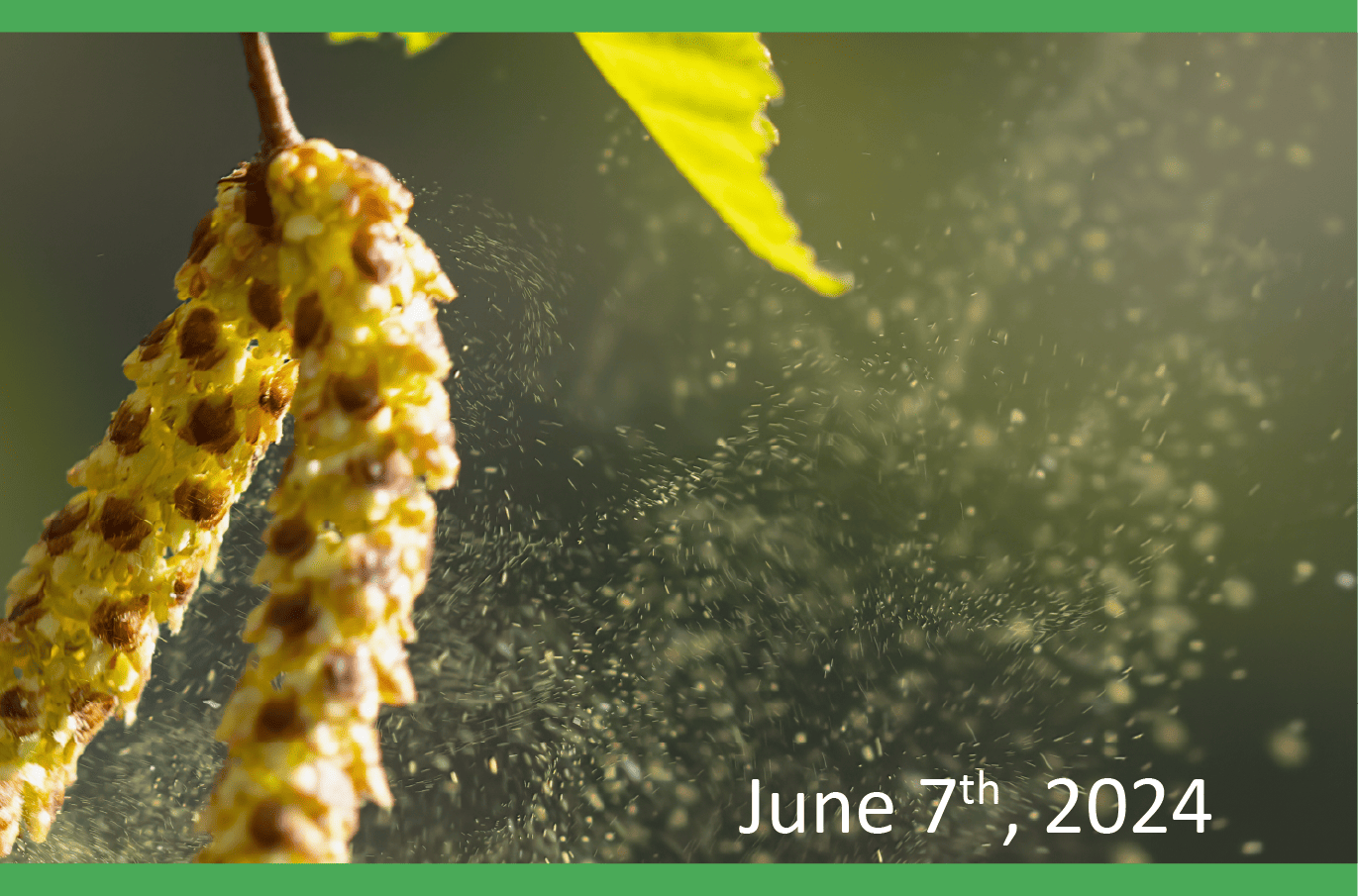 Webinar image – June 7, 2024