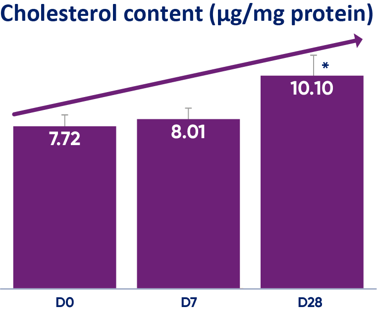 regenerating-cholesterol-content