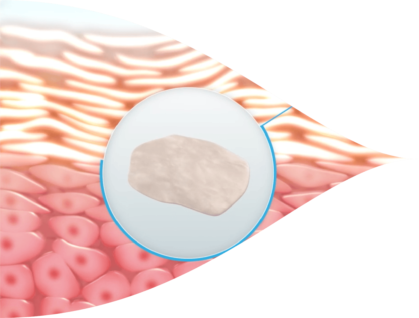 Combined Bepanthen Products