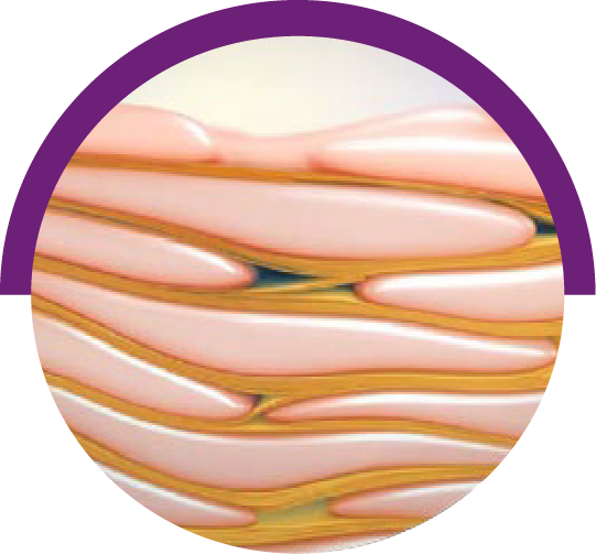 Healthy lamellar lipids