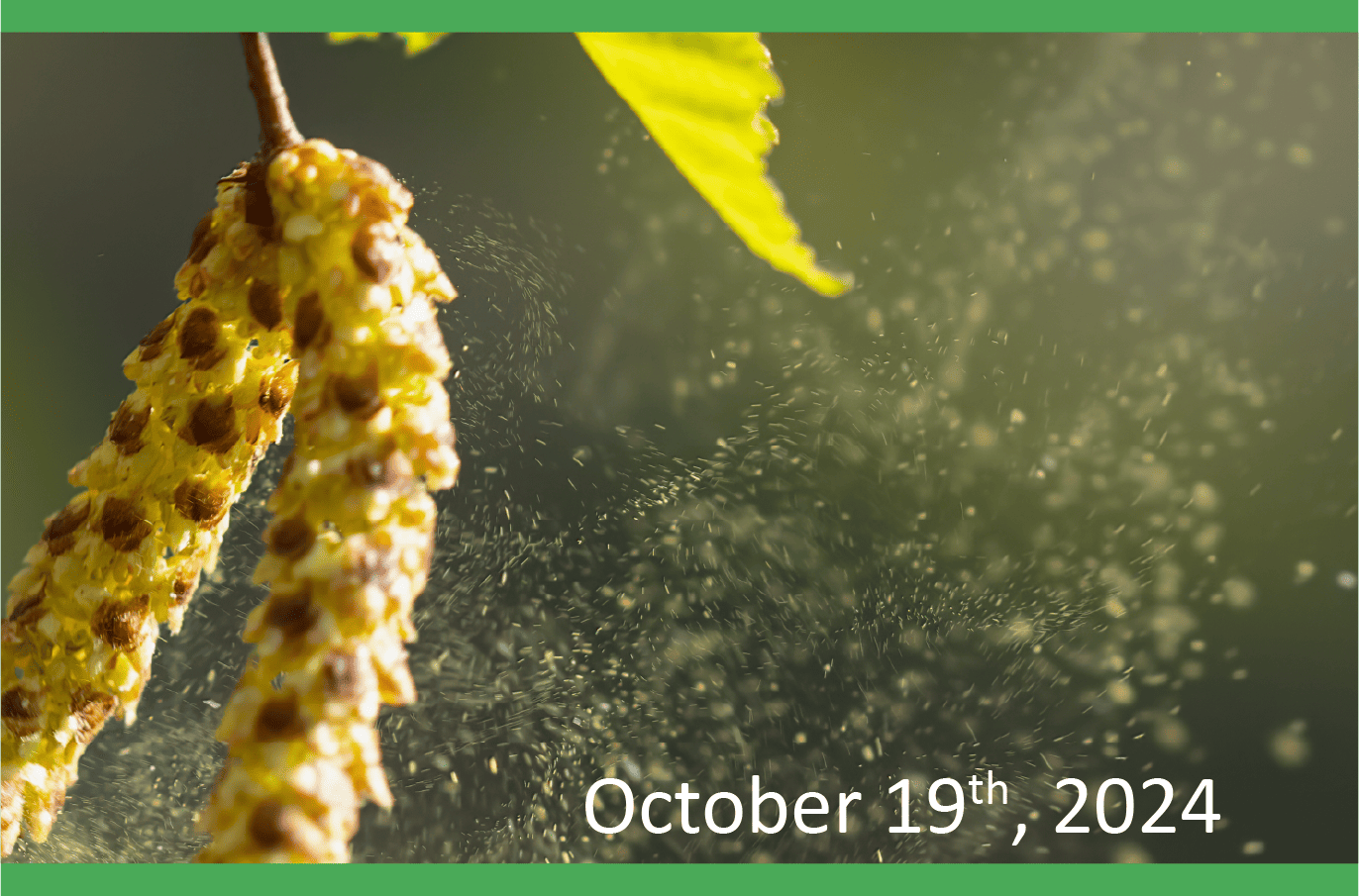 Webinar image – October 19, 2024