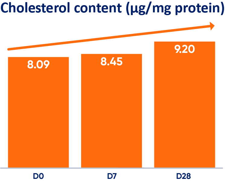 restoring-cholesterol-content