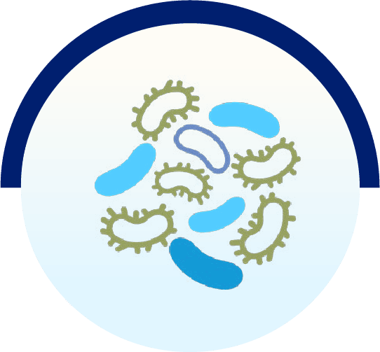 Skin microbiome