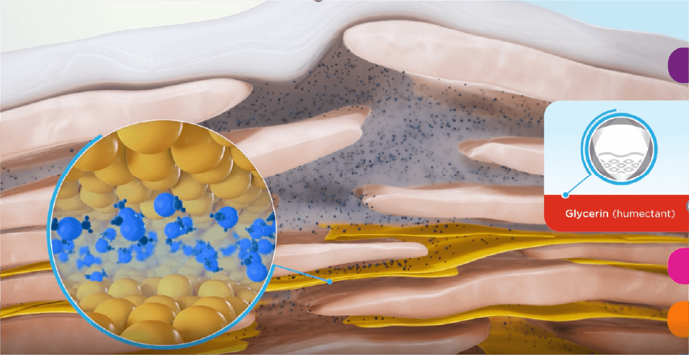 Applying Niacinamide