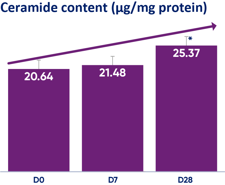 regenerating-ceramide-content