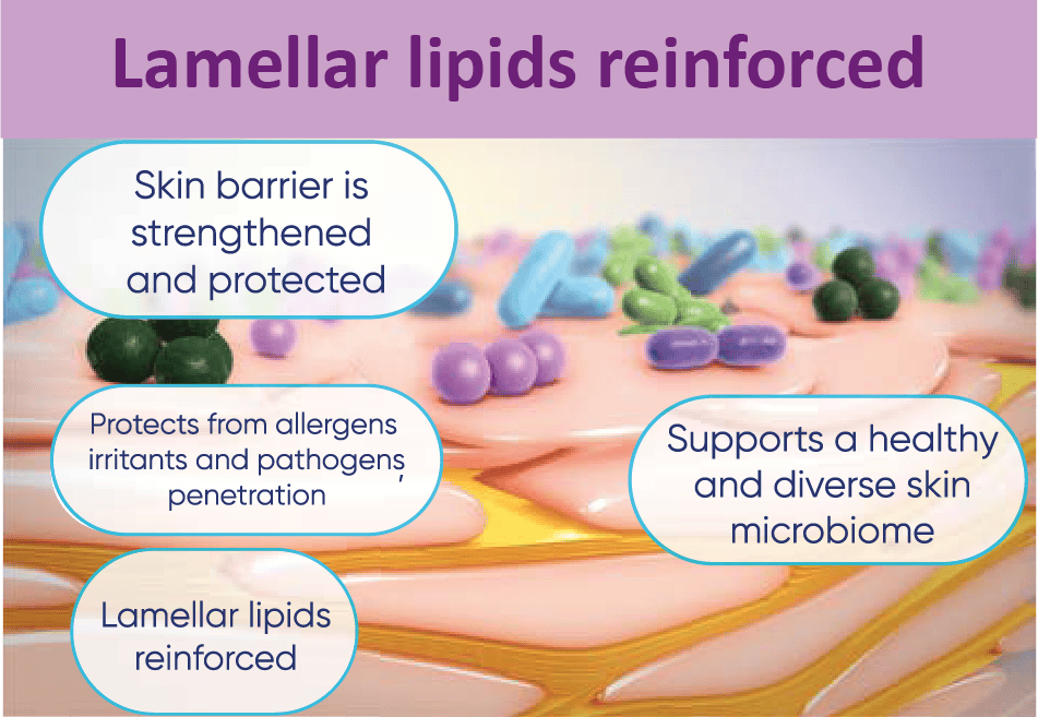 Lamellar lipids reinforced